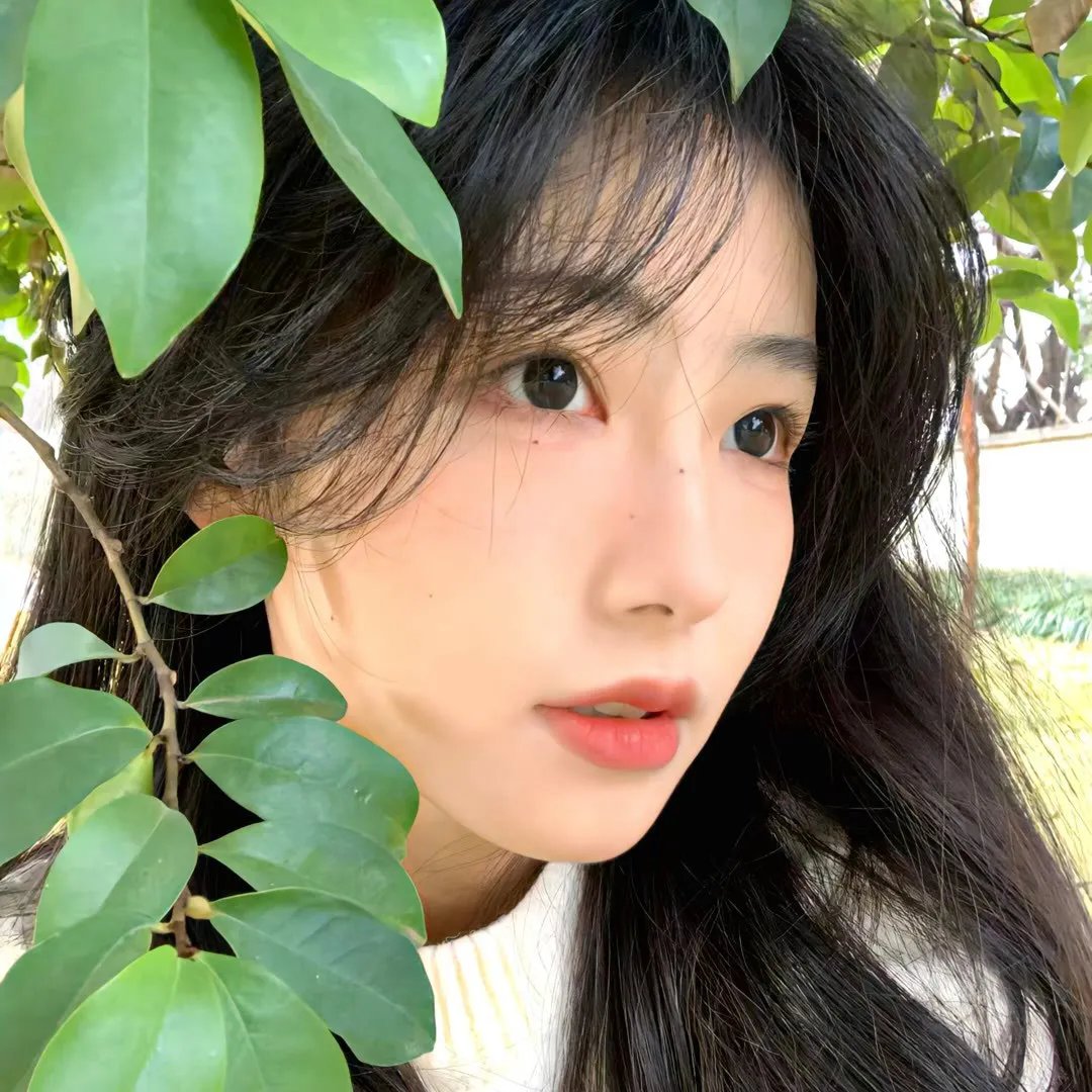 诡影访客海报