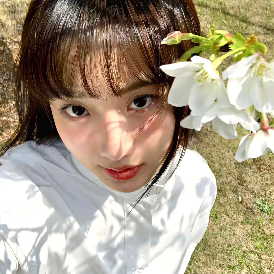 大使的宝藏家宴海报